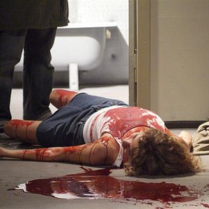 Bilder Drawn In Blood