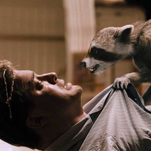 Bilder Reine Fellsache