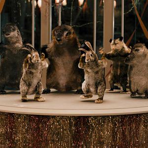 Bilder Reine Fellsache