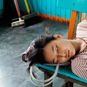 Bilder The Tiger Factory