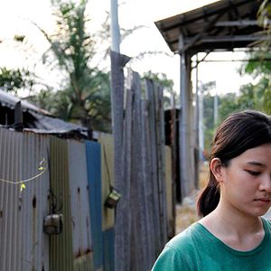 Bilder The Tiger Factory