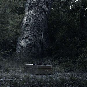 Bilder Two Gates of Sleep