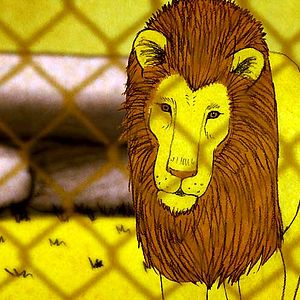 Bilder The Boy Who Wanted to Be a Lion