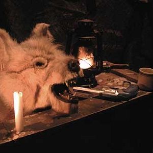 Bilder Savage Island