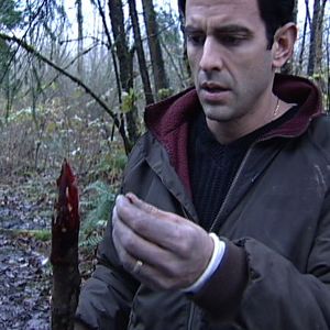 Bilder Savage Island