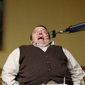 Bilder Schade um das schöne Geld