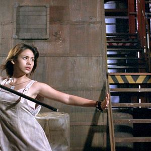 Bilder Recyclo Transformers