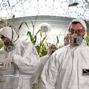 Bilder Heuschrecken - Die achte Plage