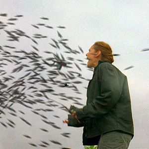 Bilder Heuschrecken - Die achte Plage