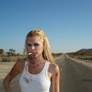 Bilder Sunset Vampires