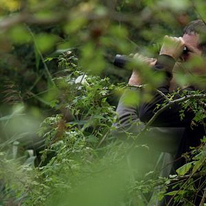 Bilder Der Tag des Spatzen