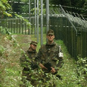 Bilder Der Tag des Spatzen