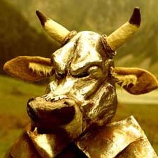 Bilder The Ring Thing