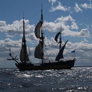 Bilder Pakt der Bestien