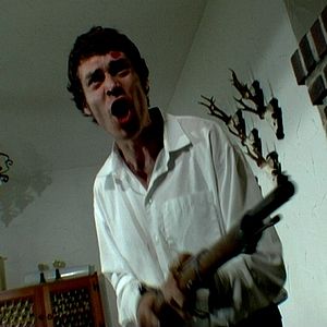 Bilder Unter Wölfen