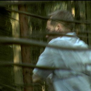 Bilder Unter Wölfen