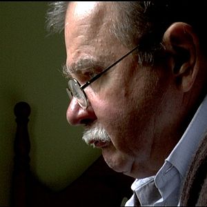 Bilder Unter Wölfen