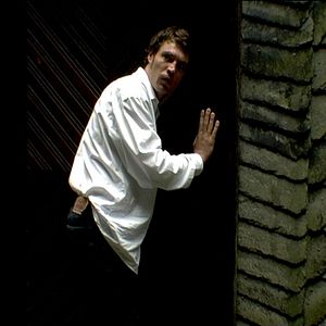 Bilder Unter Wölfen