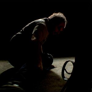 Bilder Unter Wölfen