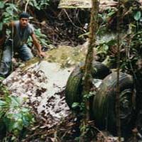 Bilder Julianes Sturz in den Dschungel