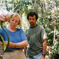 Bilder Julianes Sturz in den Dschungel