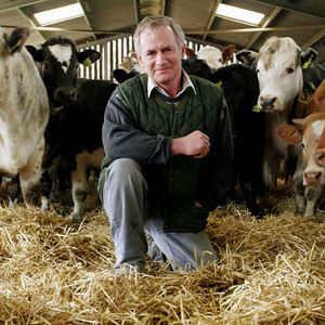 Bilder Unser tägliches Fleisch