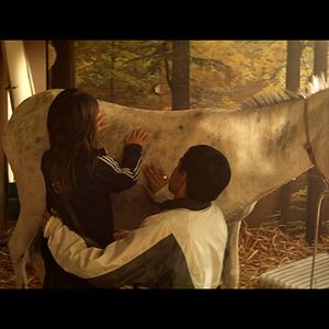 Bilder El Secreto de Mateo