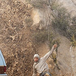 Bilder Two And A Half Men