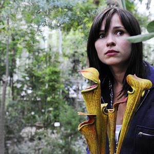 Bilder Groupies bleiben nicht zum Frühstück