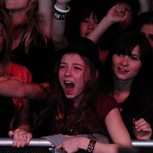 Bilder Groupies bleiben nicht zum Frühstück