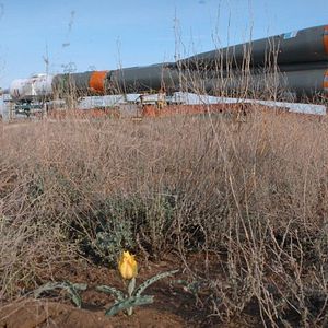 Bilder Space Tourists