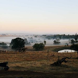 Bilder Julie Bertuccelli