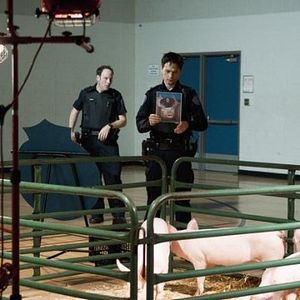 Bilder Gregory Smith