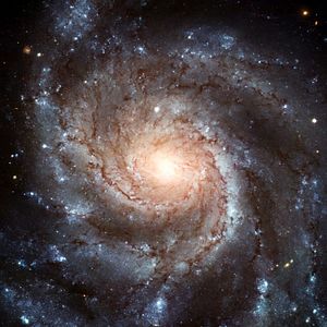 Bilder Nostalgia De La Luz