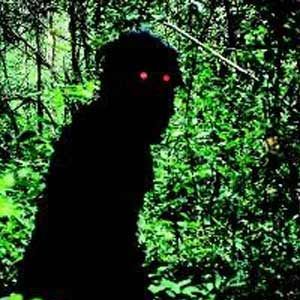 Bilder Uncle Boonmee erinnert sich an seine früheren Leben