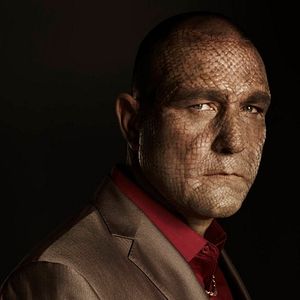 Bilder Vinnie Jones