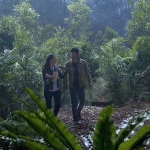 Bilder Allison Miller