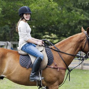 Bilder Body Of Proof