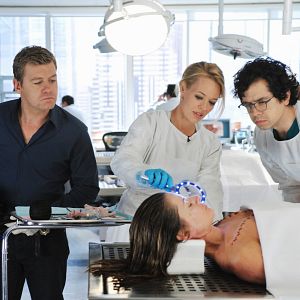 Bilder Body Of Proof