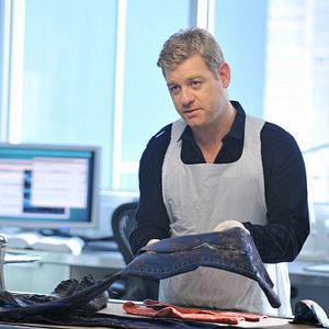 Bilder Body Of Proof