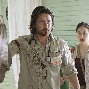 Bilder Martin Henderson