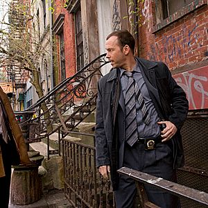 Bilder Flex Alexander