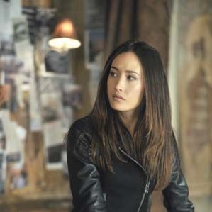 Bilder Nikita (2010)