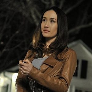 Bilder Nikita (2010)