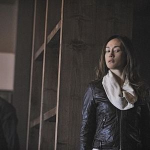 Bilder Nikita (2010)