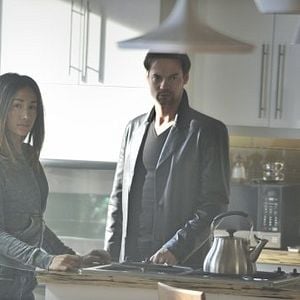 Bilder Nikita (2010)