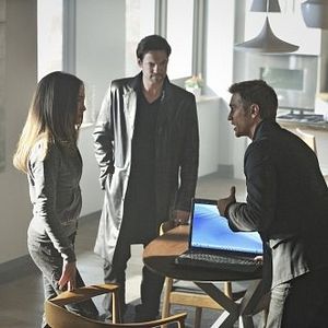 Bilder Nikita (2010)