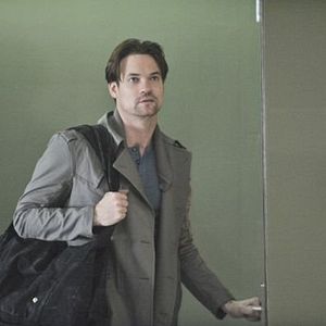 Bilder Nikita (2010)