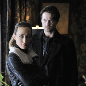 Bilder Nikita (2010)