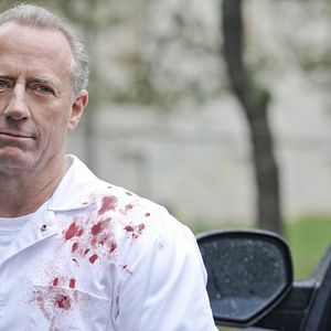 Bilder Nikita (2010)